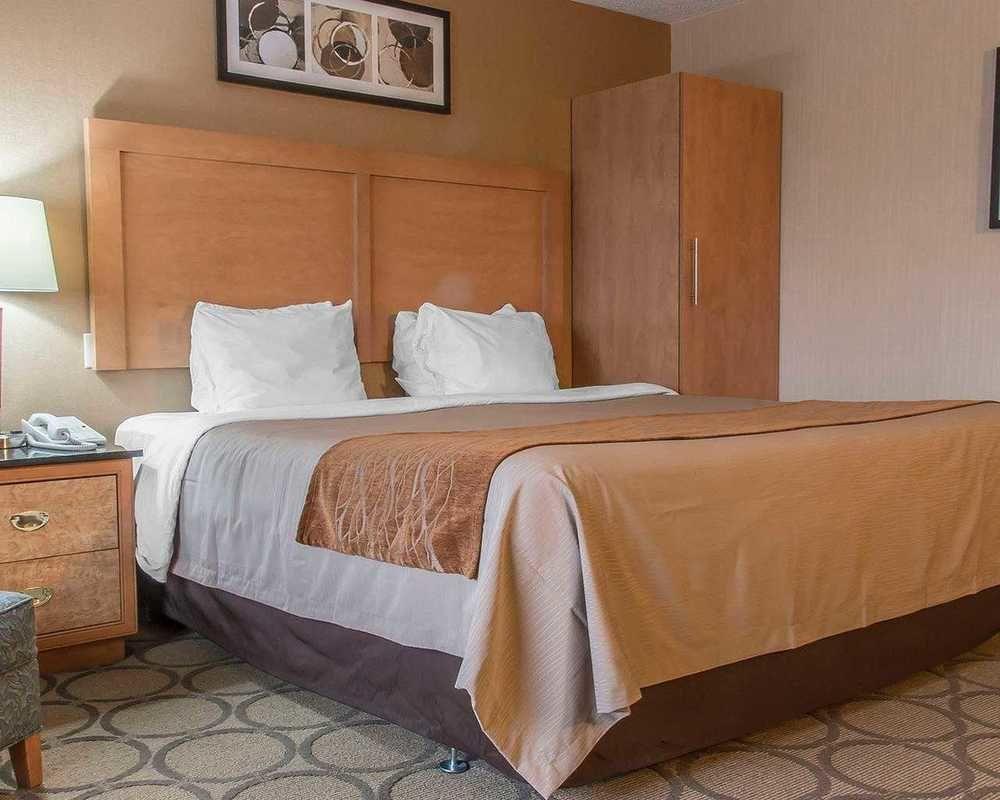 ת'אנדר ביי Comfort Inn מראה חיצוני תמונה