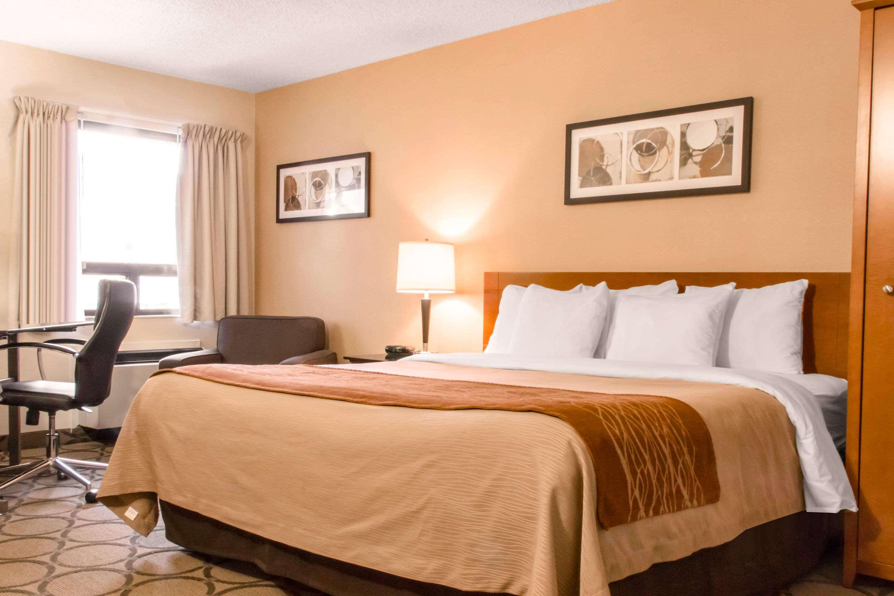 ת'אנדר ביי Comfort Inn מראה חיצוני תמונה