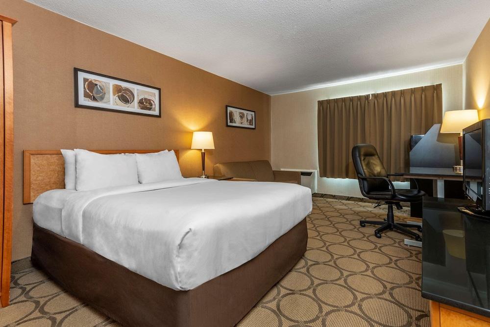 ת'אנדר ביי Comfort Inn מראה חיצוני תמונה